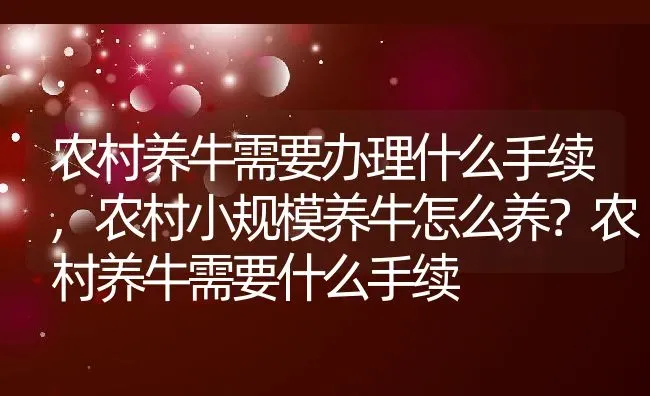 农村养牛需要办理什么手续,农村小规模养牛怎么养？农村养牛需要什么手续 | 养殖常见问题