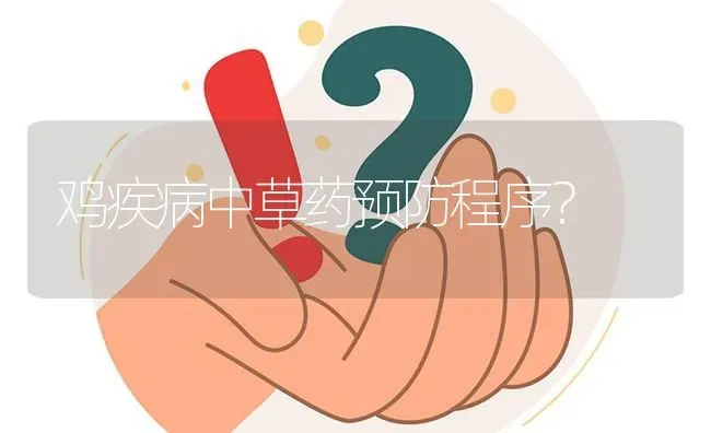 鸡疾病中草药预防程序? | 养殖问题解答