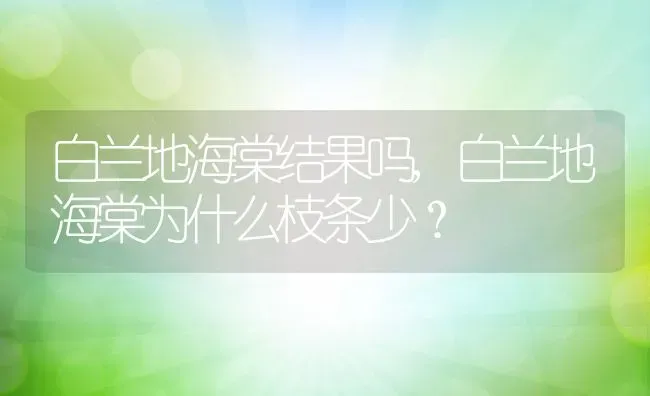 白兰地海棠结果吗,白兰地海棠为什么枝条少？ | 养殖常见问题