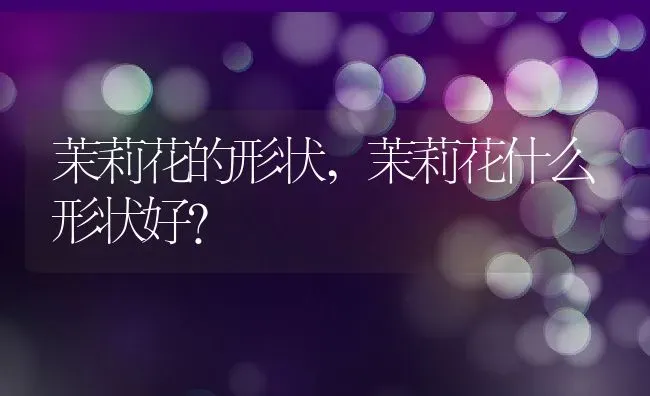 茉莉花的形状,茉莉花什么形状好？ | 养殖常见问题