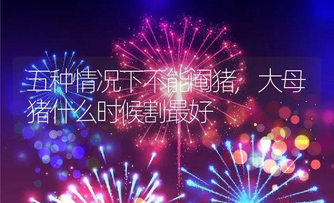 五种情况下不能阉猪,大母猪什么时候割最好 | 养殖常见问题