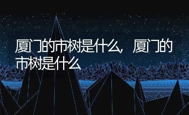 厦门的市树是什么,厦门的市树是什么 | 养殖常见问题