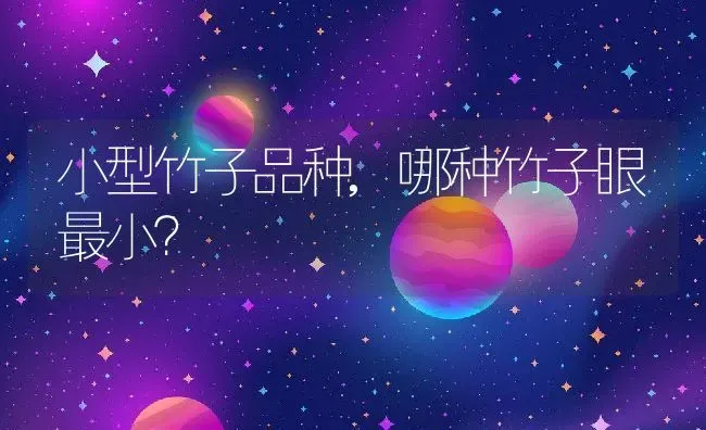 小型竹子品种,哪种竹子眼最小？ | 养殖常见问题