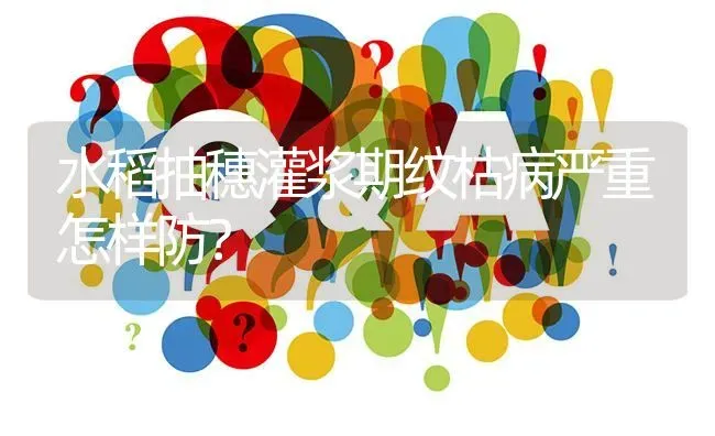 水稻抽穗灌浆期纹枯病严重怎样防? | 养殖问题解答