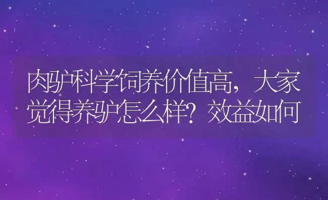 肉驴科学饲养价值高,大家觉得养驴怎么样？效益如何 | 养殖常见问题