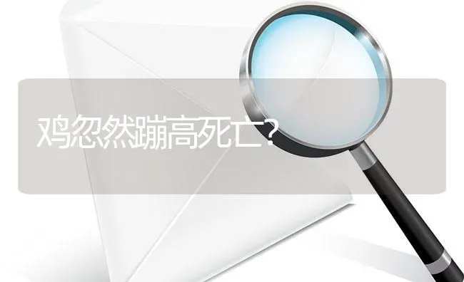 鸡忽然蹦高死亡? | 养殖问题解答