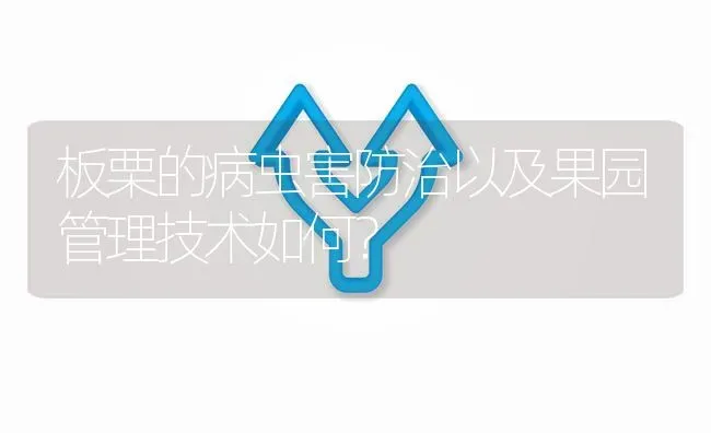 板栗的病虫害防治以及果园管理技术如何? | 养殖问题解答