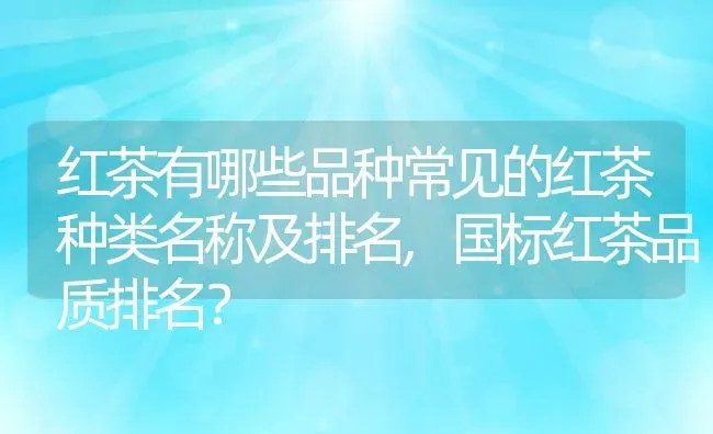 红茶有哪些品种常见的红茶种类名称及排名,国标红茶品质排名？ | 养殖常见问题