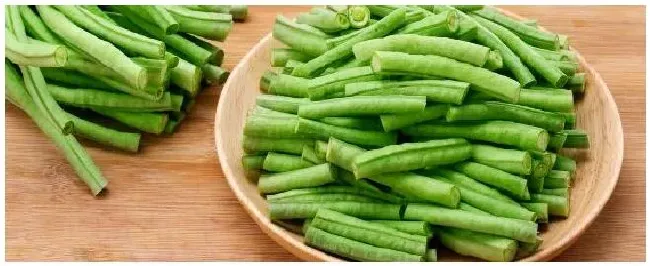 豆角的常见病和防治方法 | 科普知识