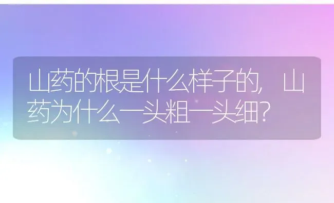 山药的根是什么样子的,山药为什么一头粗一头细？ | 养殖常见问题