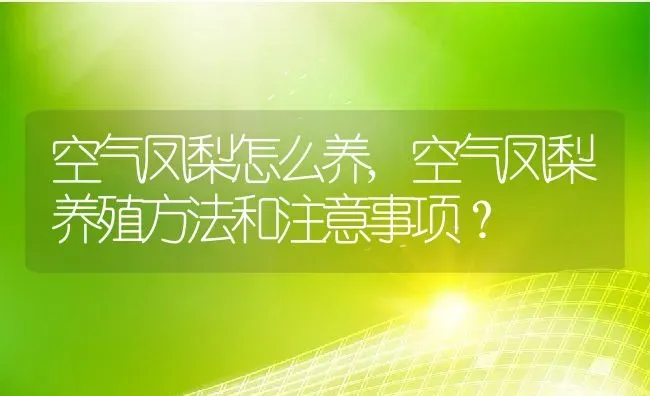 空气凤梨怎么养,空气凤梨养殖方法和注意事项？ | 养殖常见问题