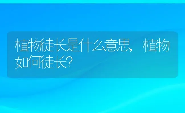 植物徒长是什么意思,植物如何徒长？ | 养殖常见问题