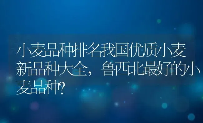 小麦品种排名我国优质小麦新品种大全,鲁西北最好的小麦品种？ | 养殖常见问题