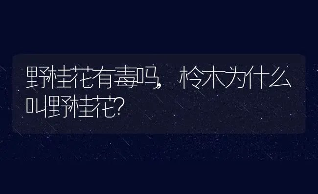 野桂花有毒吗,柃木为什么叫野桂花？ | 养殖常见问题