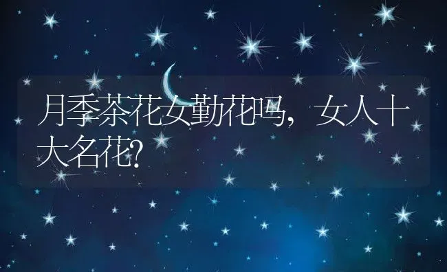 月季茶花女勤花吗,女人十大名花？ | 养殖常见问题