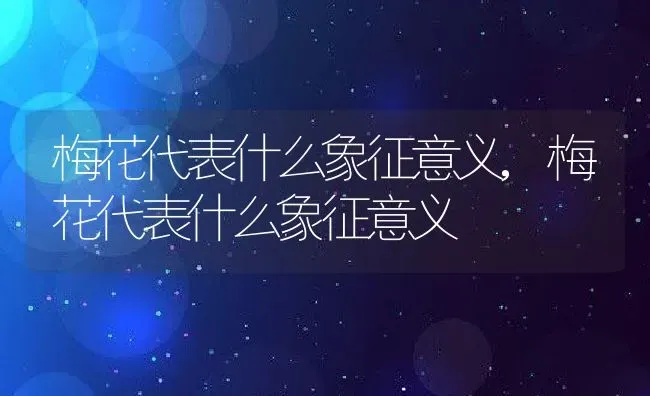 梅花代表什么象征意义,梅花代表什么象征意义 | 养殖常见问题