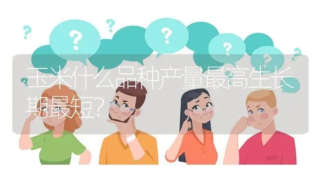 玉米什么品种产量最高生长期最短? | 养殖问题解答