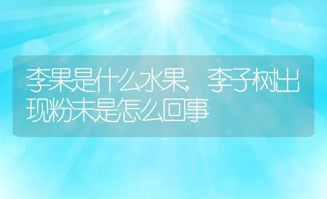 李果是什么水果,李子树出现粉末是怎么回事 | 养殖常见问题