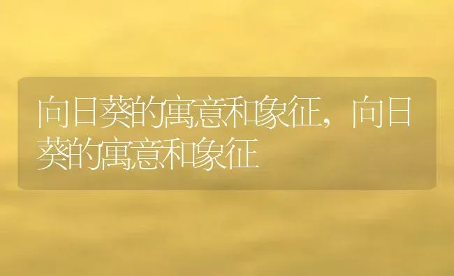 向日葵的寓意和象征,向日葵的寓意和象征 | 养殖常见问题