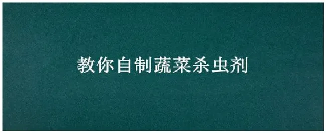 教你自制蔬菜杀虫剂 | 生活常识