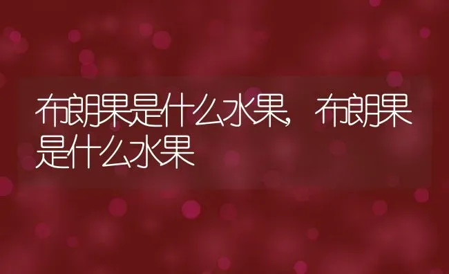 布朗果是什么水果,布朗果是什么水果 | 养殖常见问题