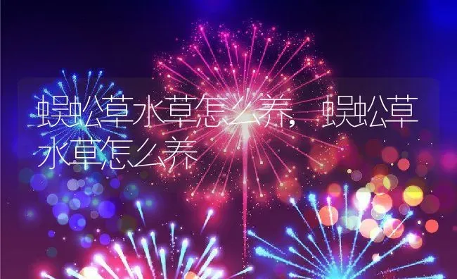 枇杷树的外形特征,枇杷枝干什么颜色？ | 养殖常见问题