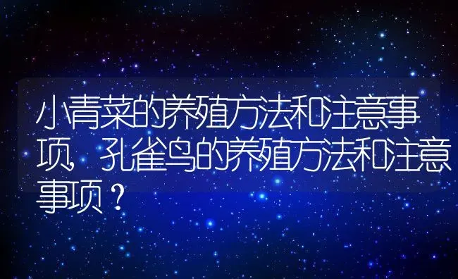 小青菜的养殖方法和注意事项,孔雀鸟的养殖方法和注意事项？ | 养殖常见问题