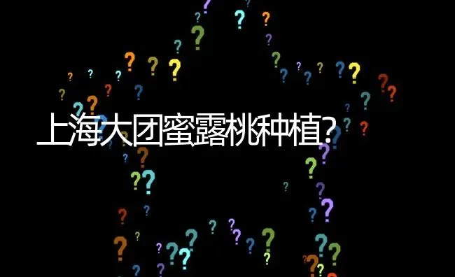 上海大团蜜露桃种植? | 养殖问题解答