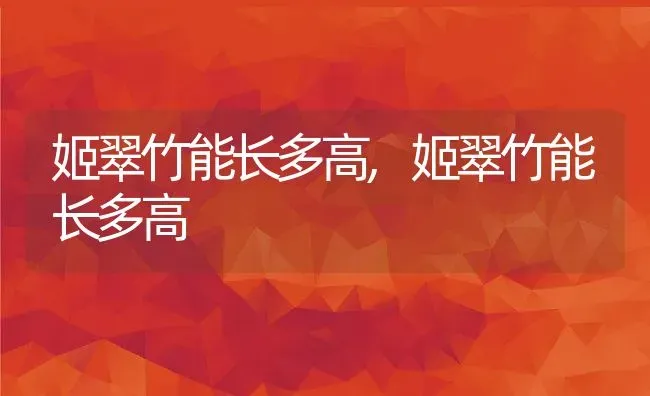 姬翠竹能长多高,姬翠竹能长多高 | 养殖常见问题