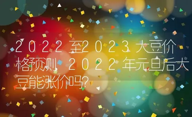 2022至2023大豆价格预测,2022年元旦后大豆能涨价吗？ | 养殖常见问题