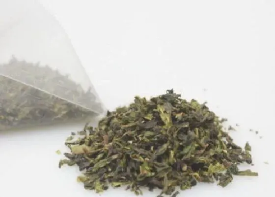 植物常识问题|四季春茶属于什么茶类型有 用什么功效和作用