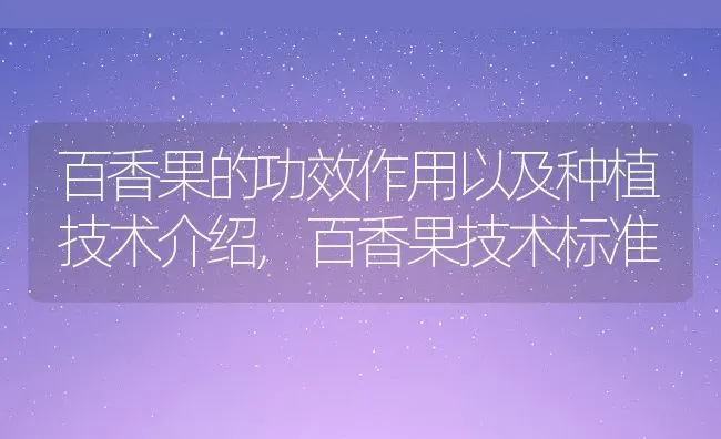 百香果的功效作用以及种植技术介绍,百香果技术标准 | 养殖常见问题