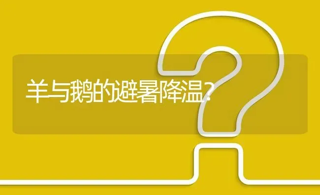 羊与鹅的避暑降温? | 养殖问题解答