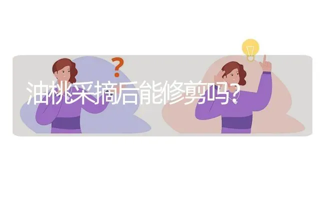 油桃采摘后能修剪吗? | 养殖问题解答