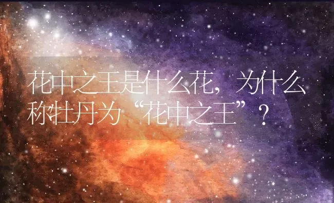 花中之王是什么花,为什么称牡丹为“花中之王”？ | 养殖常见问题