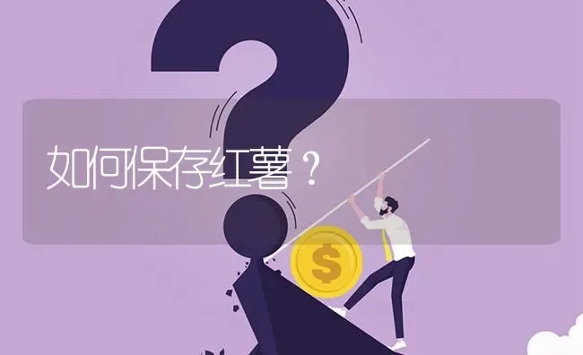 如何保存红薯? | 养殖问题解答