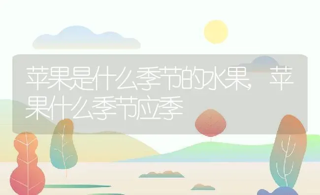 苹果是什么季节的水果,苹果什么季节应季 | 养殖常见问题