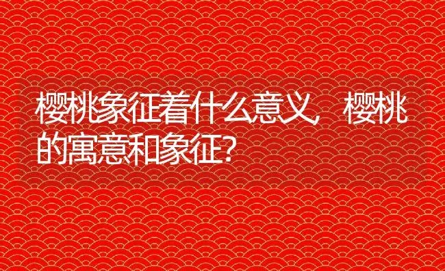 樱桃象征着什么意义,樱桃的寓意和象征？ | 养殖常见问题