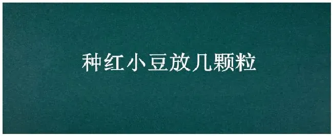 种红小豆放几颗粒 | 三农答疑