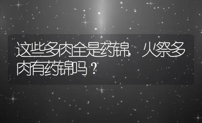 这些多肉全是药锦,火祭多肉有药锦吗？ | 养殖常见问题