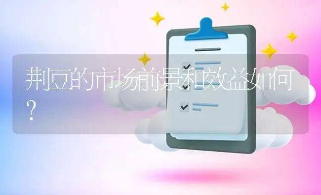 荆豆的市场前景和效益如何? | 养殖问题解答