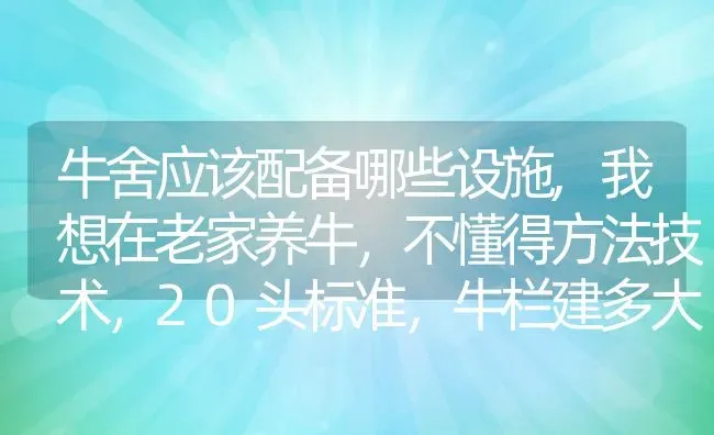 牛舍应该配备哪些设施,我想在老家养牛，不懂得方法技术，20头标准，牛栏建多大的 | 养殖常见问题