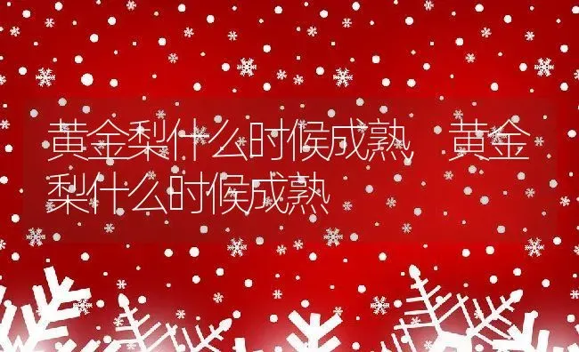 黄金梨什么时候成熟,黄金梨什么时候成熟 | 养殖常见问题