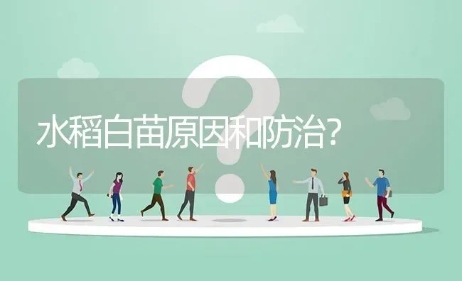 水稻白苗原因和防治? | 养殖问题解答