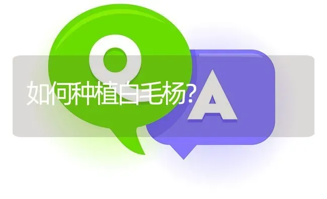 如何种植白毛杨? | 养殖问题解答