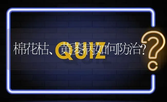 棉花枯、黄萎病如何防治? | 养殖问题解答