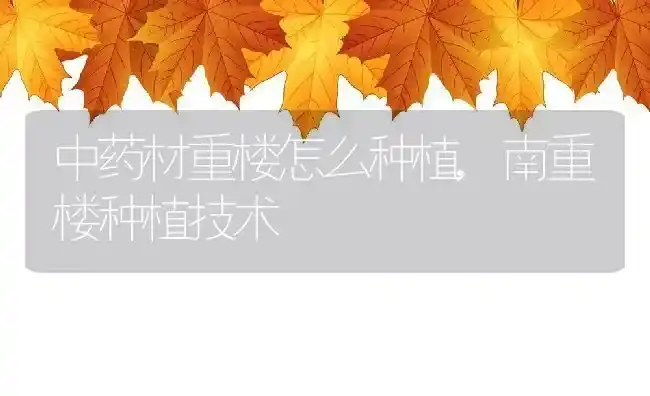 中药材重楼怎么种植,南重楼种植技术 | 养殖常见问题