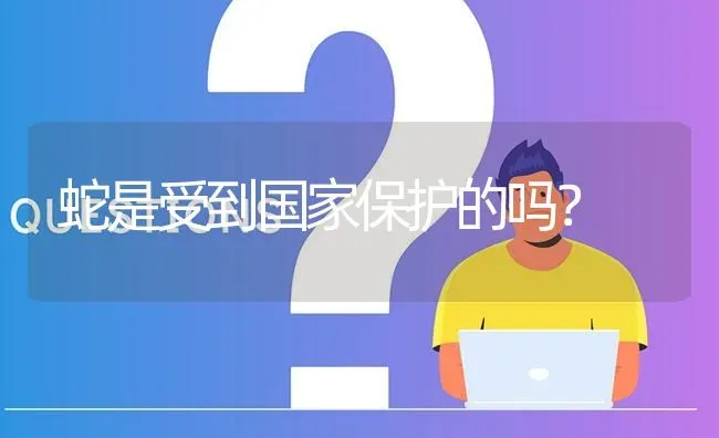 蛇是受到国家保护的吗? | 养殖问题解答
