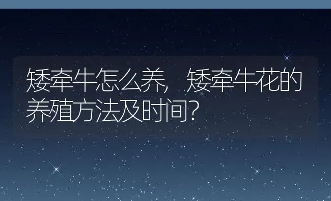 矮牵牛怎么养,矮牵牛花的养殖方法及时间？ | 养殖常见问题