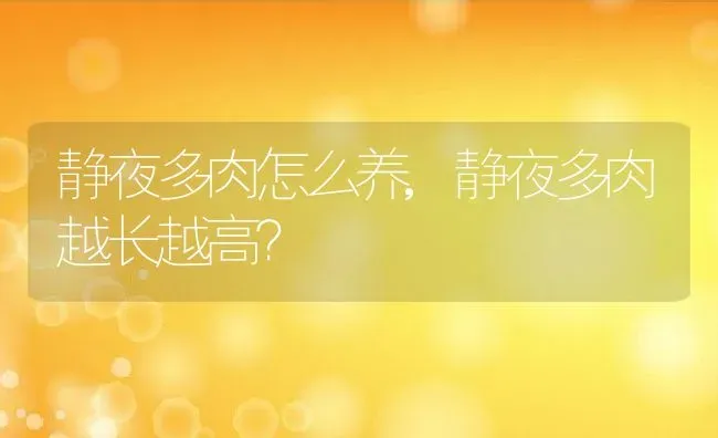 静夜多肉怎么养,静夜多肉越长越高？ | 养殖常见问题